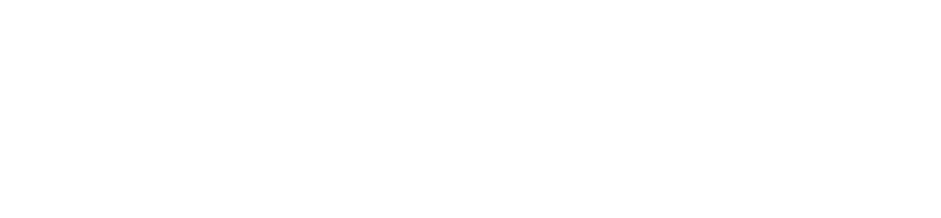 Dynamic Kinesis — Logistics & Process Consulting